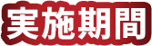 実施期間